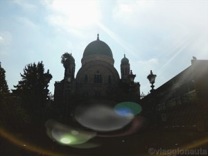 sinagoga firenze